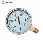 Brass 1/4 NPT Liquid Pressure Gauge