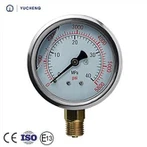 Brass Internals Pressure Gauge