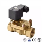Two Two-way Diaphragm High Temperature Solenoid Valve