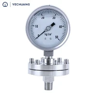 4" Psq Diaphragm Seal Pressure Gauge