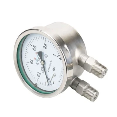 bellows type differential pressure gauge 01