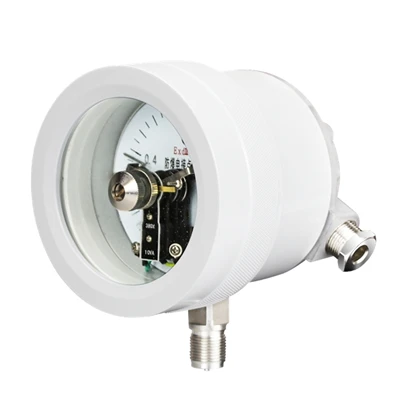 Reliable Quality Explosion Proof Electric Contact Pressure Gauge