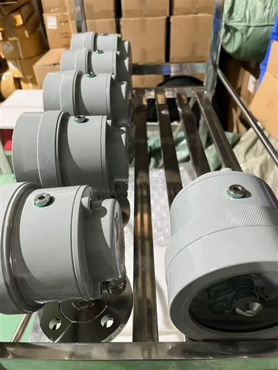 Reliable Quality Explosion Proof Electric Contact Pressure Gauge factory